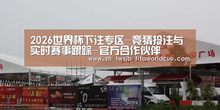 案例标题十