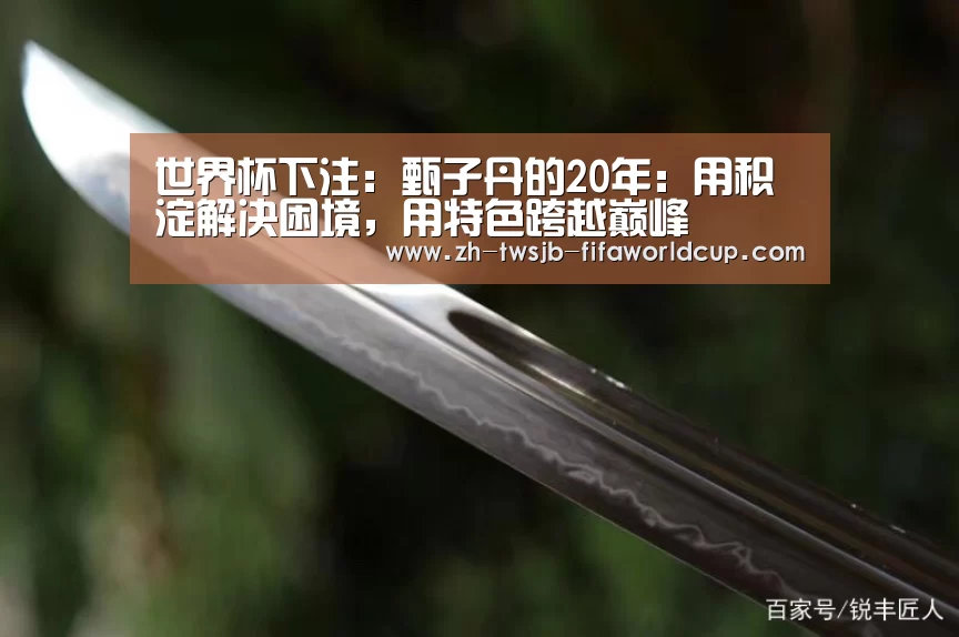 世界杯下注:甄子丹的20年:用积淀解决困境,用特色跨越巅峰(图3) 世界杯投注网