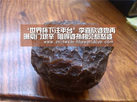 ‘世界杯下注平台’李嘉欣婆媳再曝豪门艰辛 阻碍婆孙相见惹怒婆婆(图2) 世界杯投注网