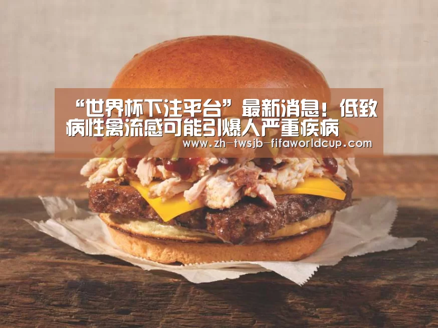 世界杯下注
