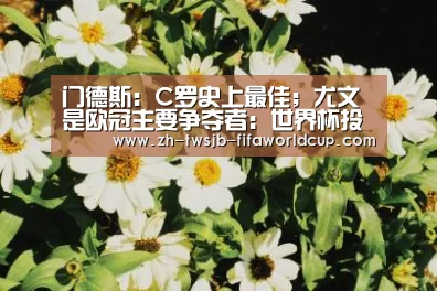门德斯:C罗史上最佳;尤文是欧冠主要争夺者:世界杯投注网(图3) 世界杯投注网